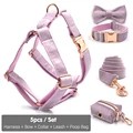 Harness 5pcs Set