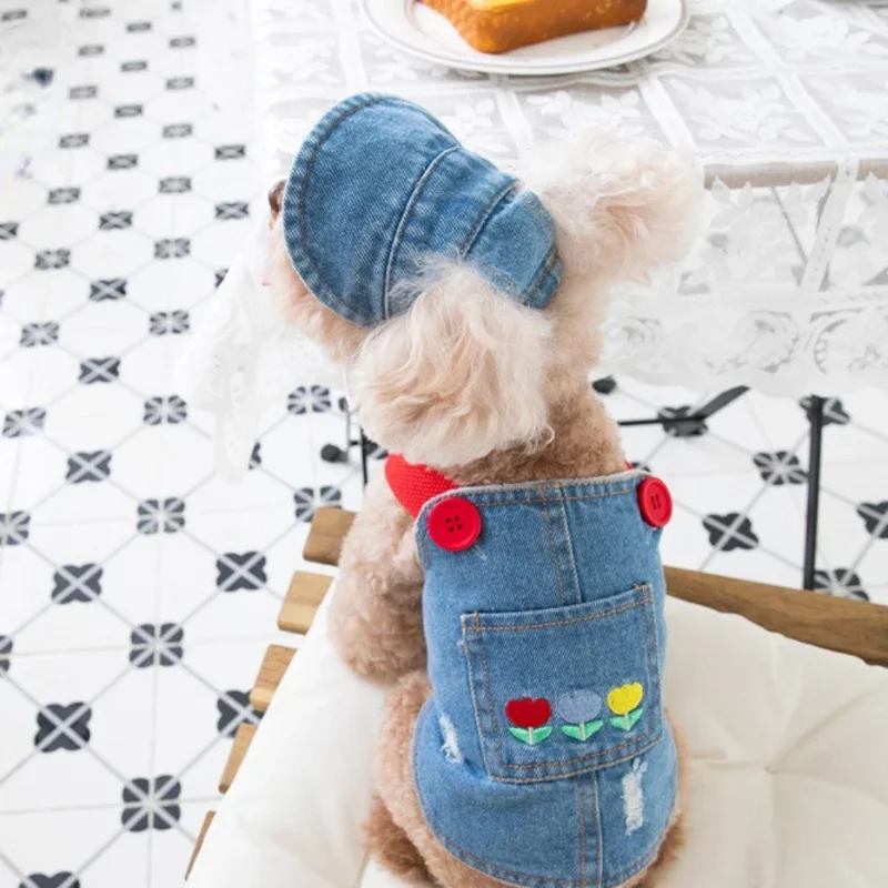 Falda vaquera bordada a la moda con flores para perros, ropa de felpa para mascotas, ropa para gatos y perros, abrigo de oso de peluche, sombrero, ropa de Navidad para perros - imagen 3