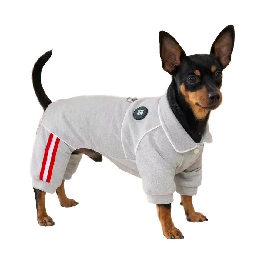 Traje deportivo para perros pequeños y medianos - ropa de primavera