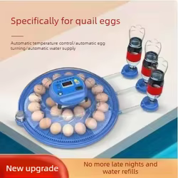 Incubadora doméstica automática pequeña para huevos de loros y aves
