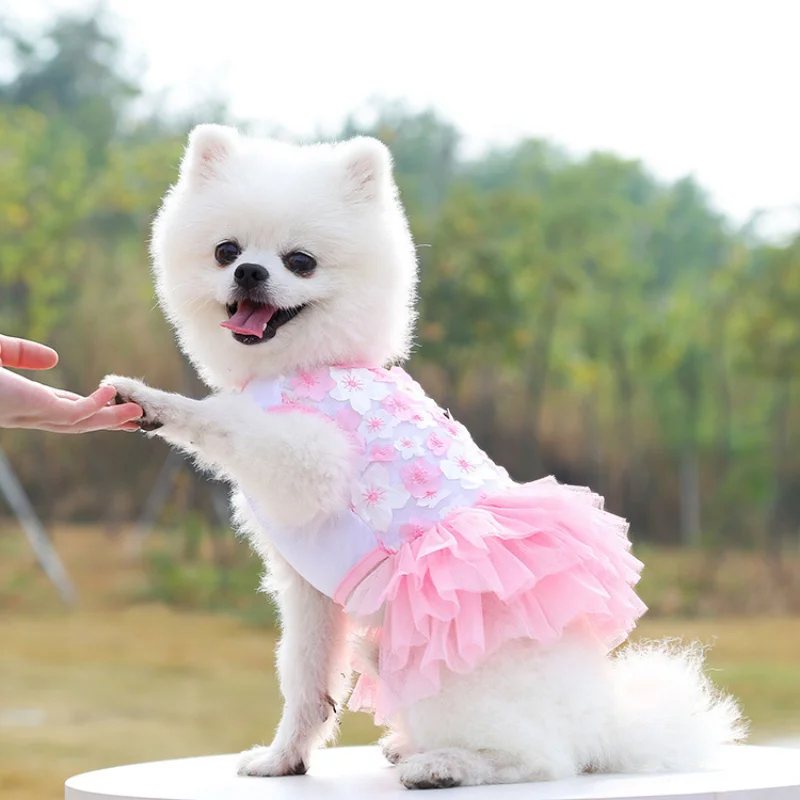 Falda de Bichon para perro, vestido de tul de encaje para mascota, vestido de gasa de flores para cachorro, vestido de fiesta para mascota, vestido de boda para perro, ropa de princesa para gato - imagen 3