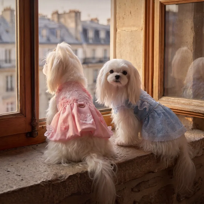 Falda encaje verano para perros cachorros teddy maltese - imagen 2