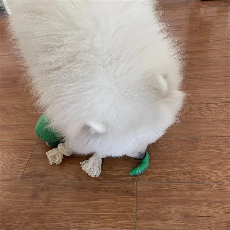 Squeaky Sound Dog Toy, Chameleon Interactive Rope Toys, Bite-resistant, Cleaning Tooth, Sound Pet, Puppy Accessories - imagen 5