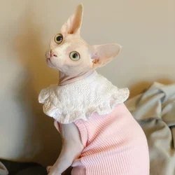 Ropa de primavera para gata Devon Rex sin pelo camiseta de algodón