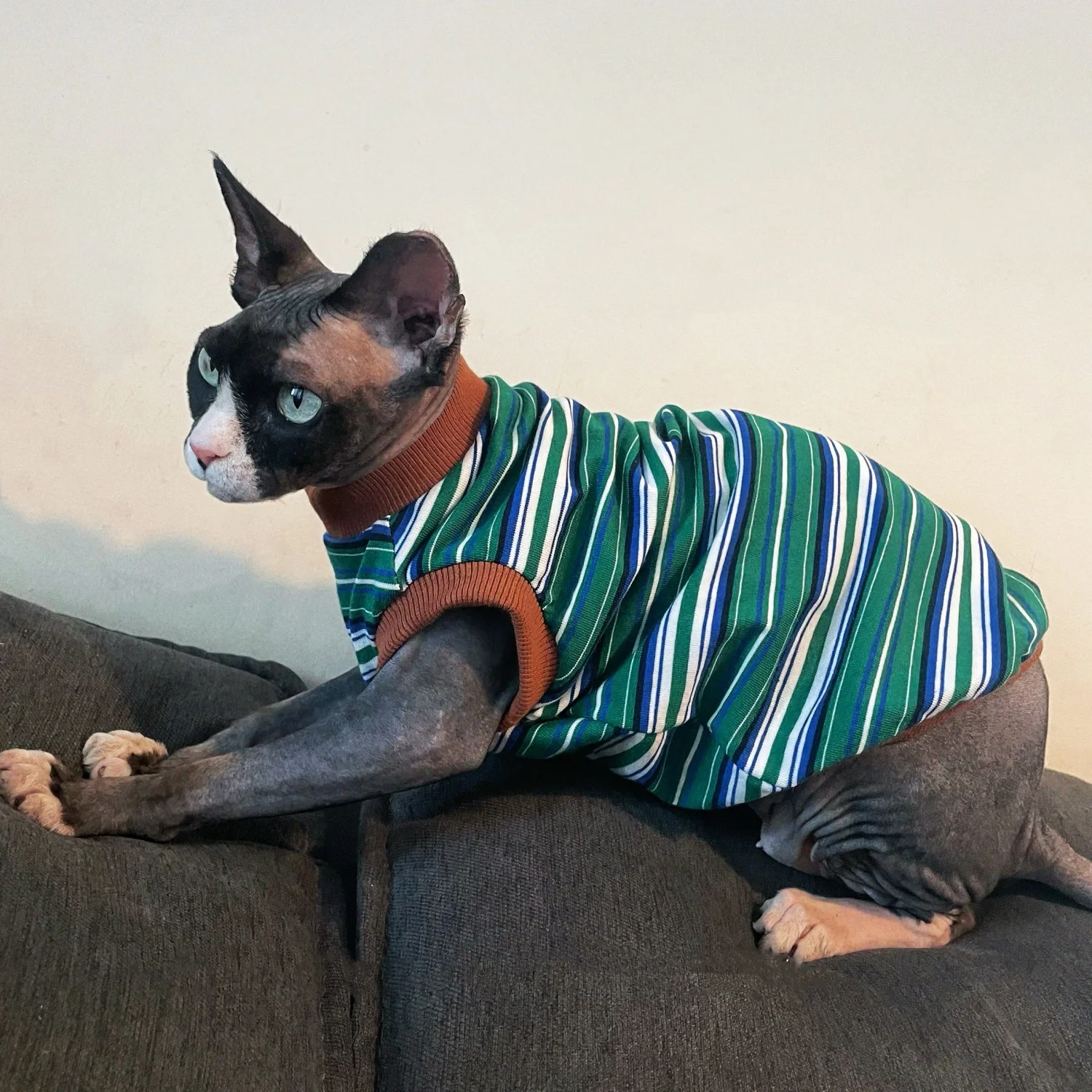 Ropa de gato Sphynx en primavera Camiseta de algodón a rayas verde café para gatitos Abrigo sin mangas para perros pequeños Devon Rex en verano - imagen 5