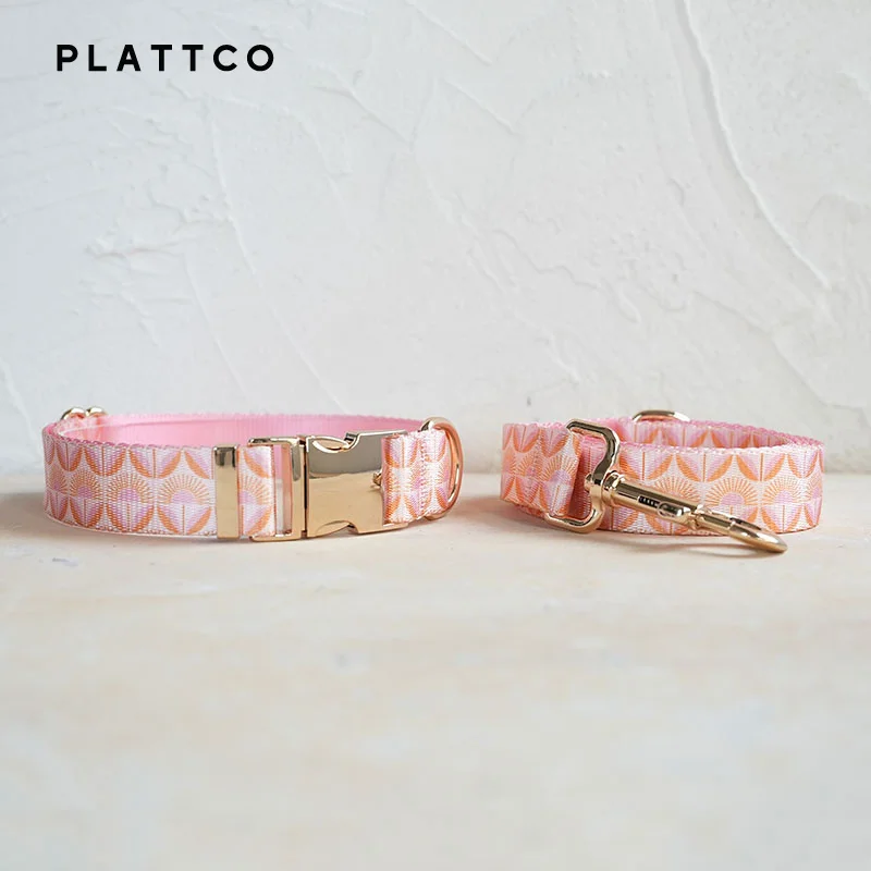 Dog Collar Leash Set