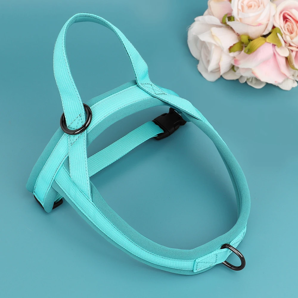 Marca PET ARTIST - Calidad y confianza