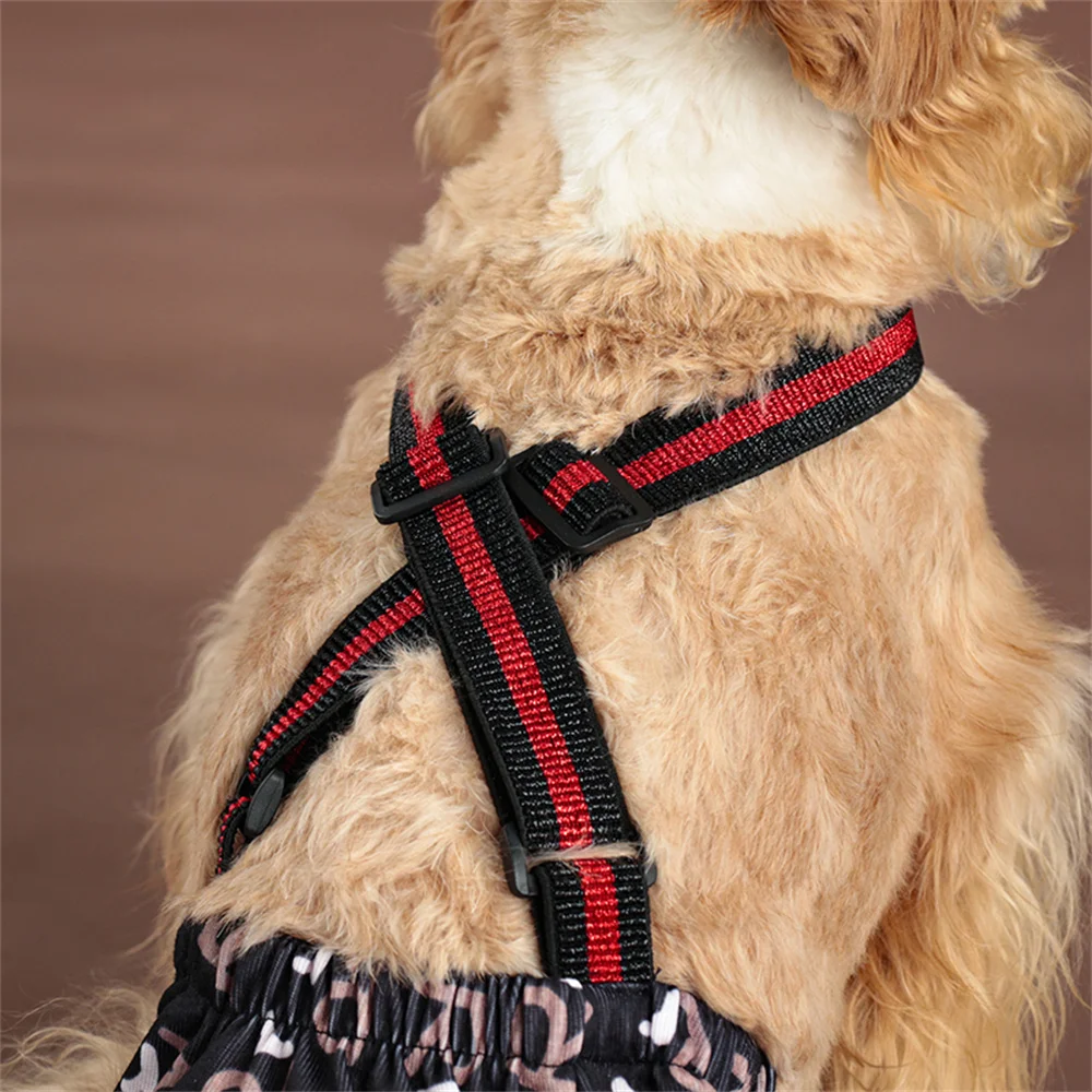 Pañal lavable y transpirable para perros, pantalones cortos reutilizables para perros, bragas, ropa interior sanitaria, calzoncillos para perros - imagen 5