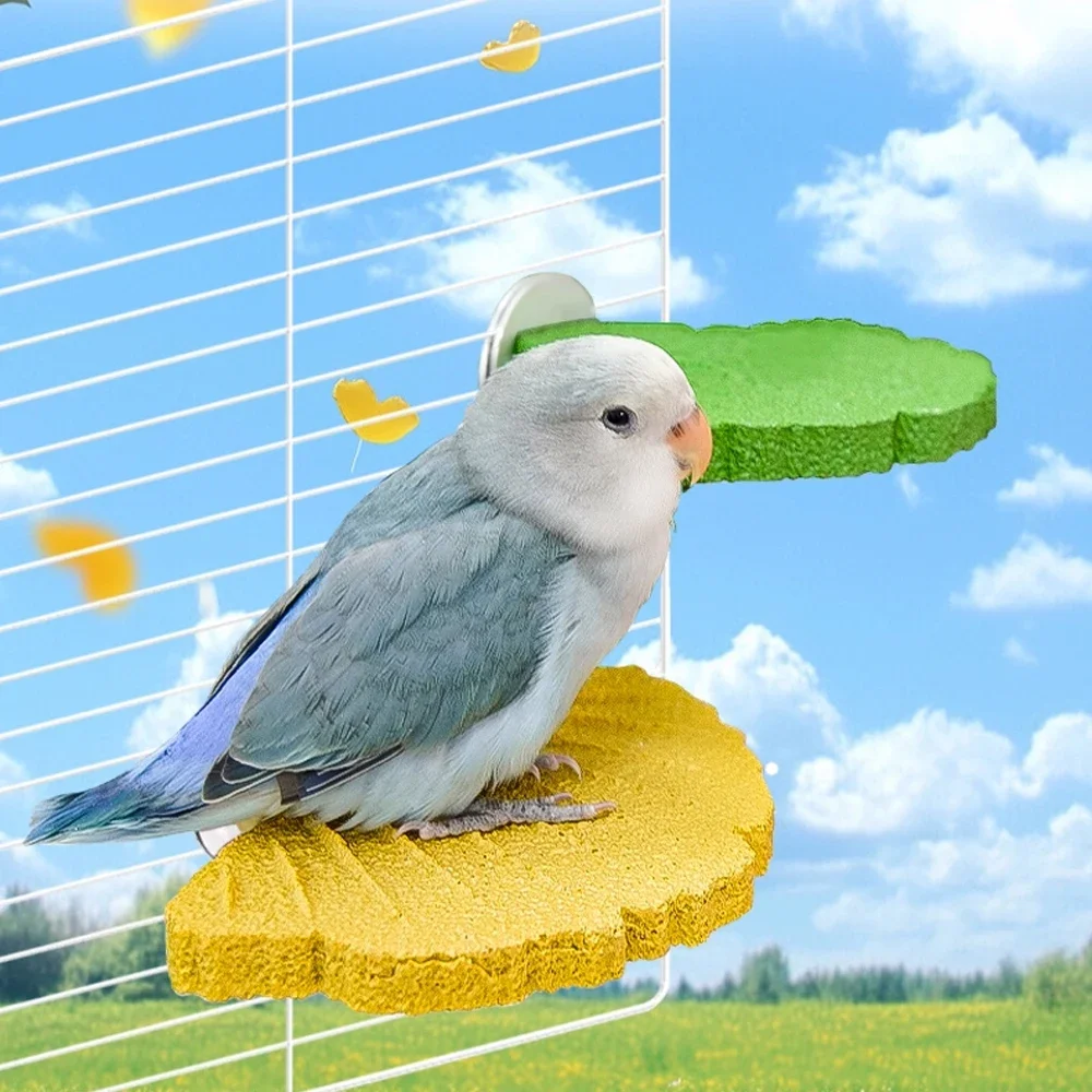 1 unidad de garra de loro con forma de hoja de Ginkgo, plataforma de pie, juguete para masticar, ejercicio de garra Natural para pájaro pequeño, loro, perca, ejercicio de garra - imagen 3