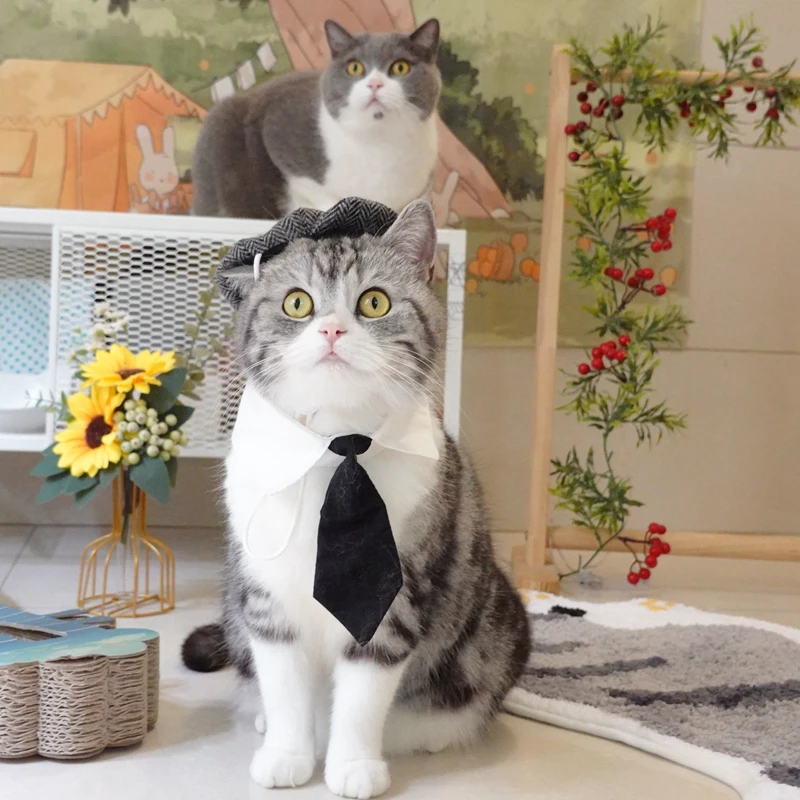 Divertido sombrero de gato para mascotas, sombrero de caballero, boina, corbata, baño, gángster de sangre, atractivo accesorio para fotografía de Cosplay, disfraz de Halloween para mascotas - imagen 2