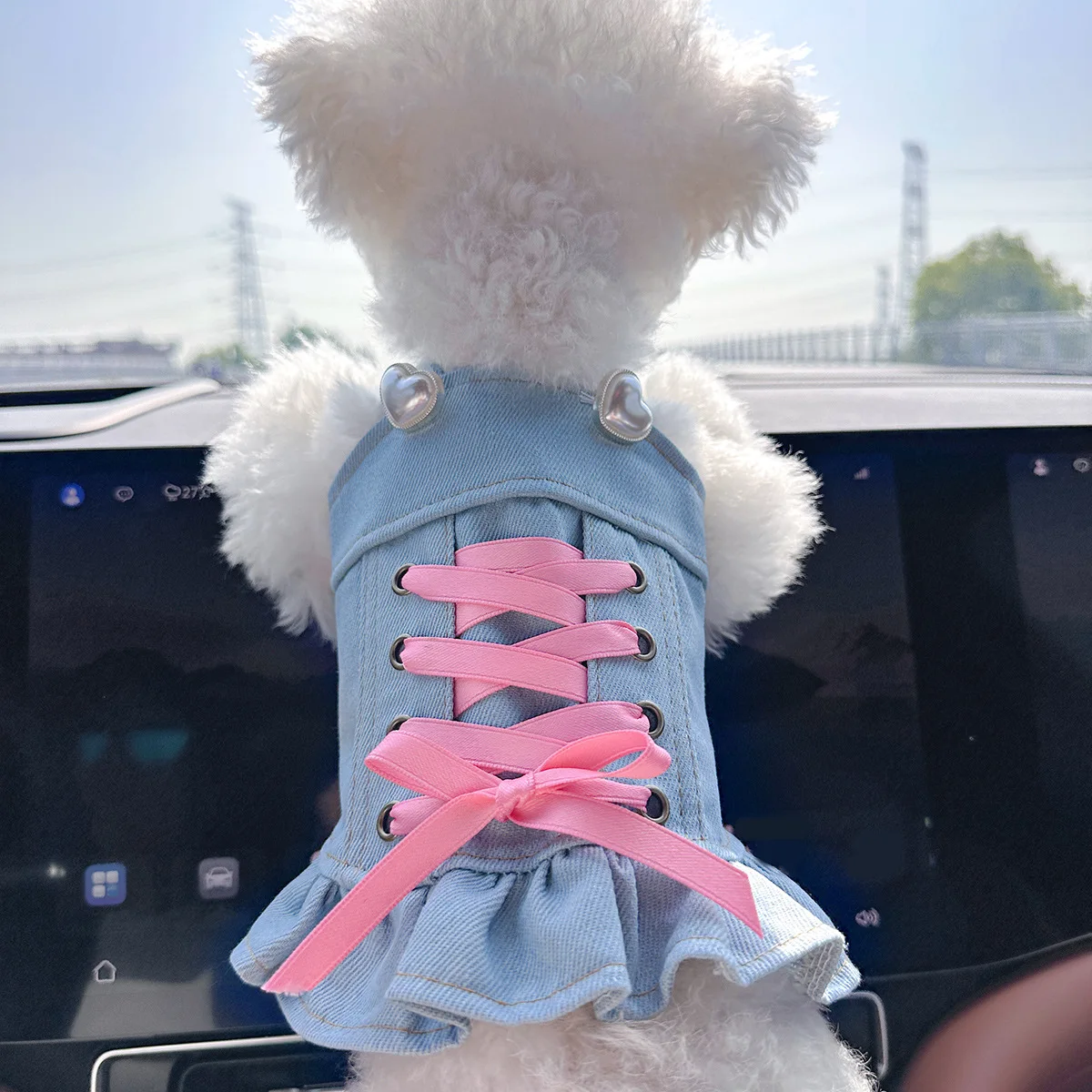 Falda con tirantes de vaquero para mascotas, ropa para gatos, chaleco con tirantes, Top de peluche de vaquero, ropa para perros pequeños, ropa para cachorros