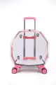 Transparent  pink