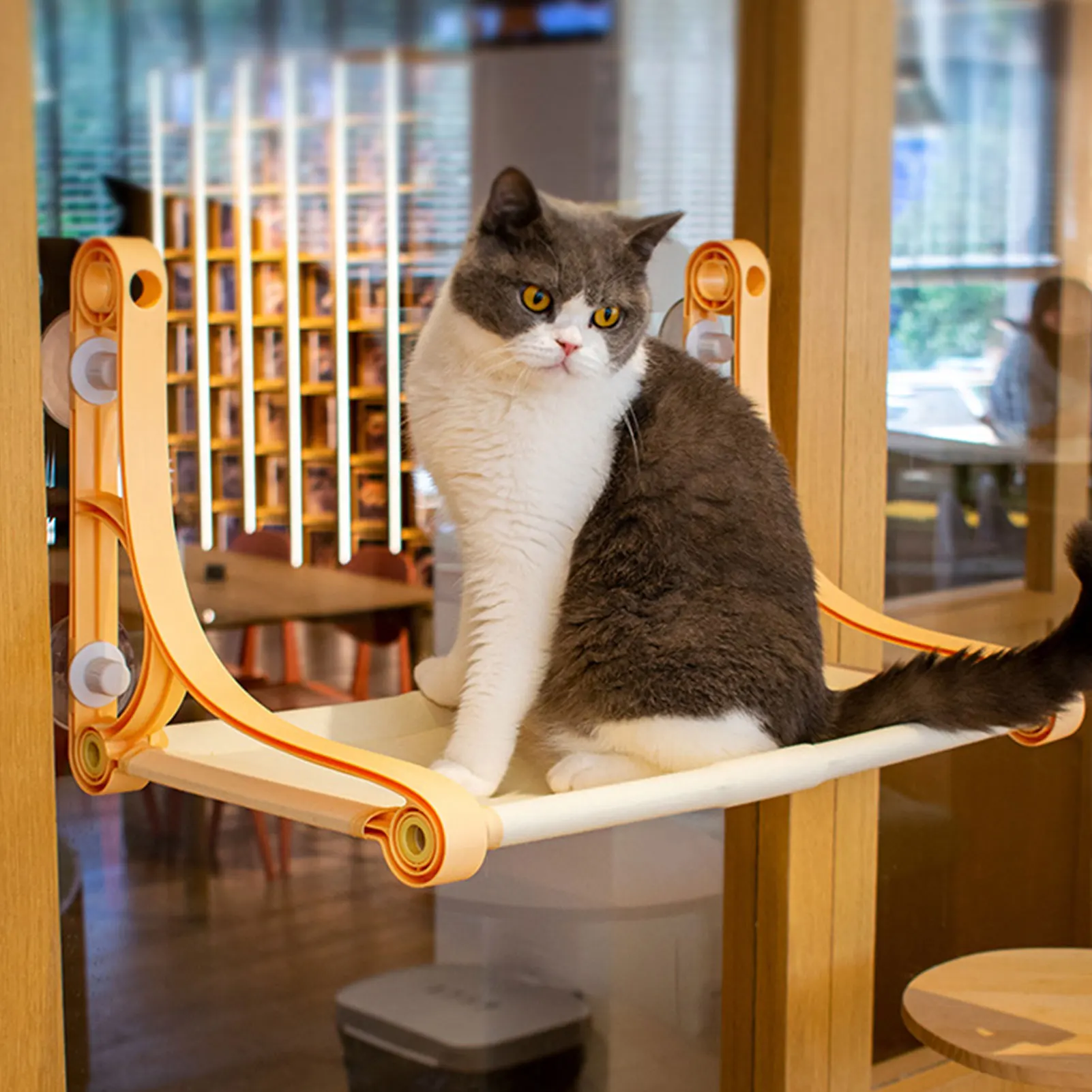 Hamaca para ventana de gato, asiento de seguridad resistente para gatos, hamaca para ventana de hasta 50lb, último tornillo de ventosas Extra, 2022 - imagen 4