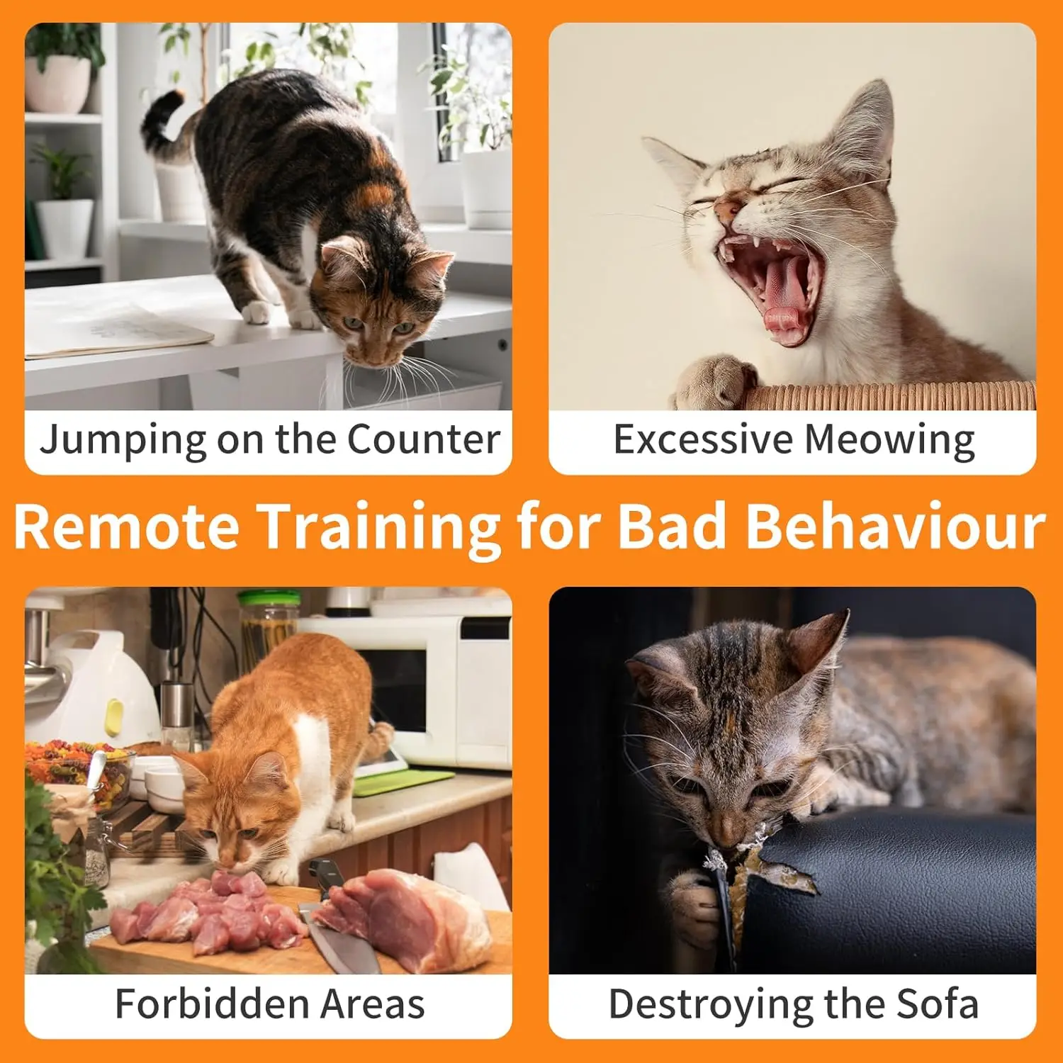 Nuevo Collar antigolpes para gatos con control remoto, Collar de entrenamiento para gatos 4 en 1 con Auto Anti-Meow, pitido, vibración, choque de seguridad, 4 modos para gatos - imagen 2