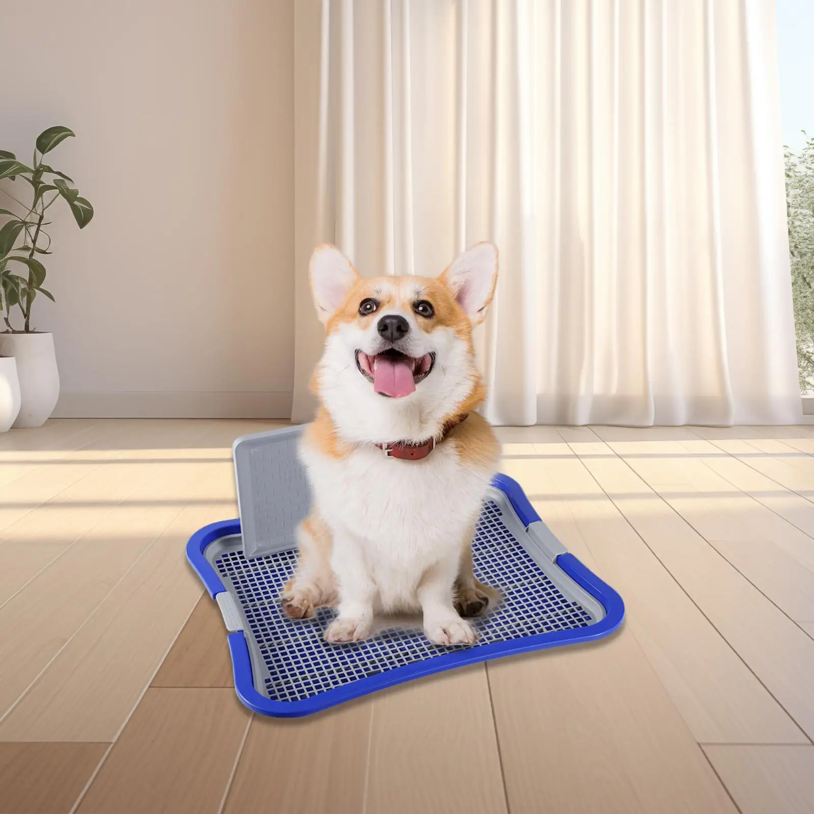 Dog Toilet, Urinal Puppy Pee Pad with Wall, Potty Train, Pet Training Toilet Tray for Dogs, Cats, Hamster