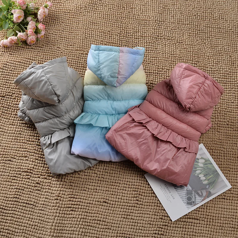 Abrigo de algodón de princesa para mascotas para invierno y otoño, chaqueta cálida gruesa para oso de peluche/bichon Frise, diseño con capucha - imagen 3