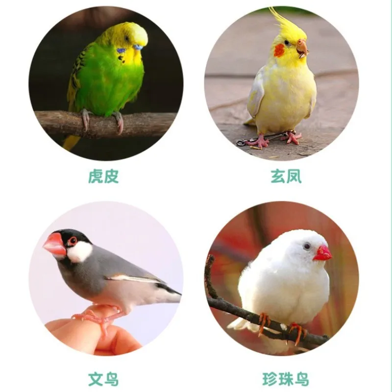 Jaula de acrílico transparente para pájaros, portador portátil para loros, jaula de visualización grande, Villas, periquitos, loros, parque canario, suministros de cría - imagen 2