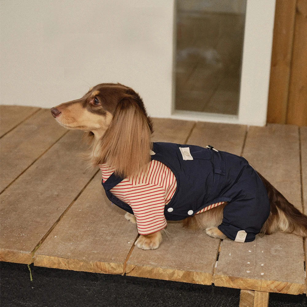 Pantalón vaquero azul para dachshund cómodo y estiloso - imagen 3