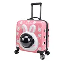 Pink rabbit