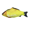 Crucian carp