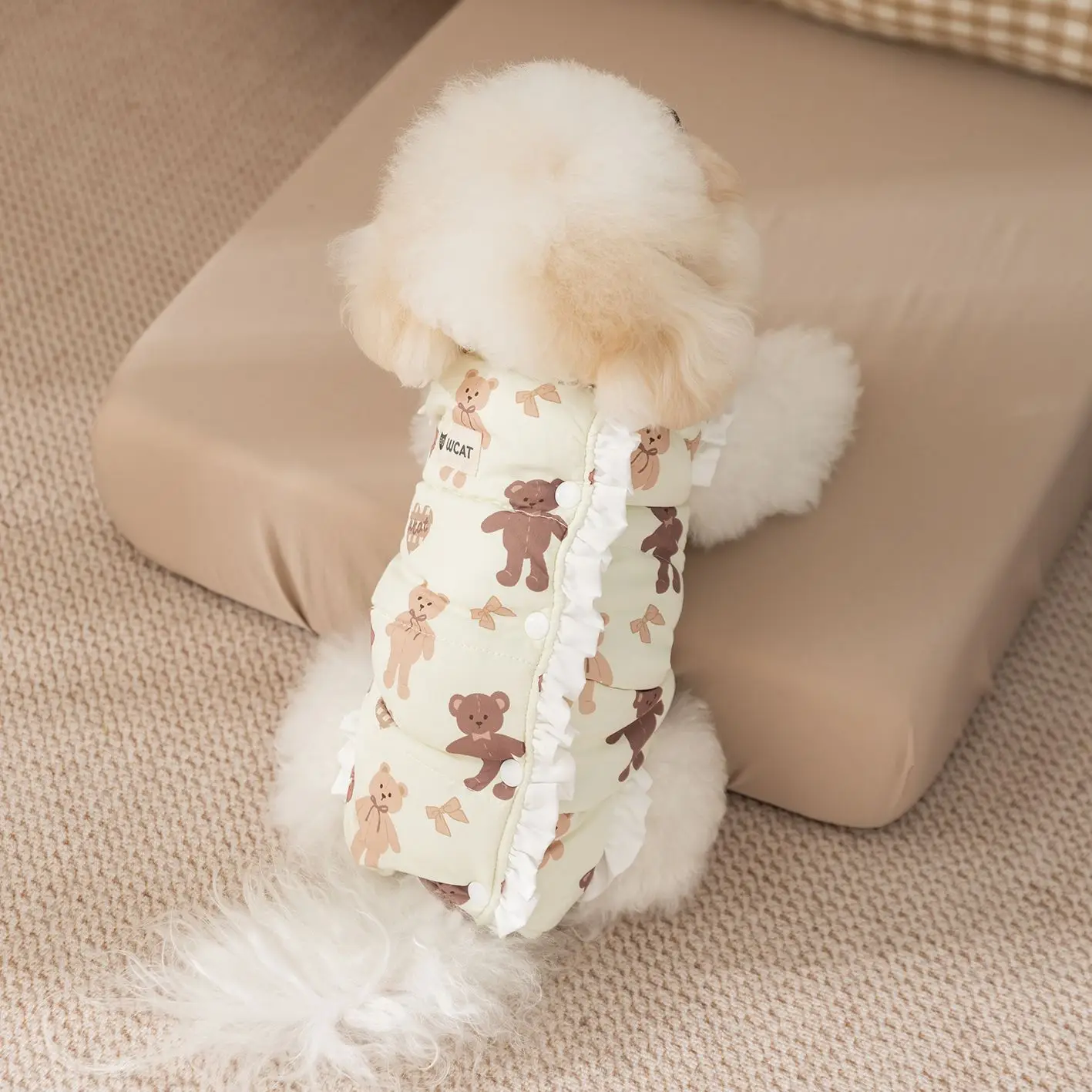 Mono para mascotas de otoño e invierno, ropa de casa de encaje de dibujos animados, pantalones de cuatro patas para Gato, ropa para perros pequeños, ropa para cachorros