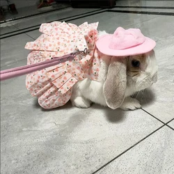 Conjunto arnés con vestido y correa de algodón para conejos