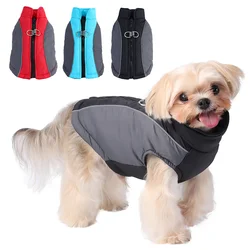 Chaleco reflectante para perros pequeños – Abrigo invierno con anillo D
