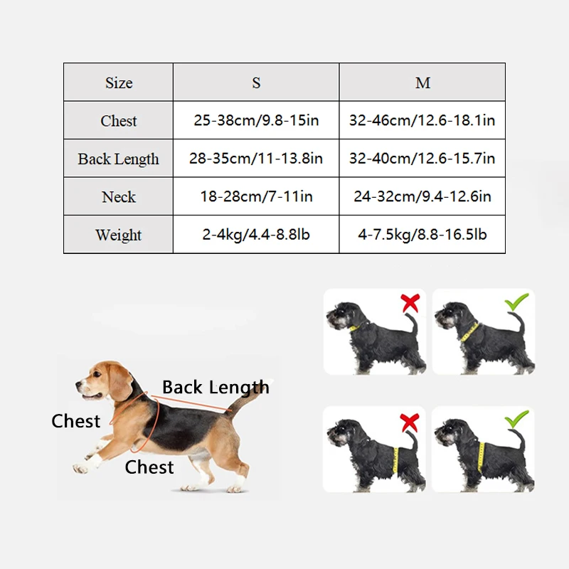 Bolsa transportadora Pawstrip vista completa