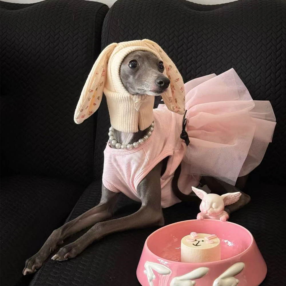 Vestido de encaje rosa para Galgo Italiano y Whippet – Primavera - imagen 5