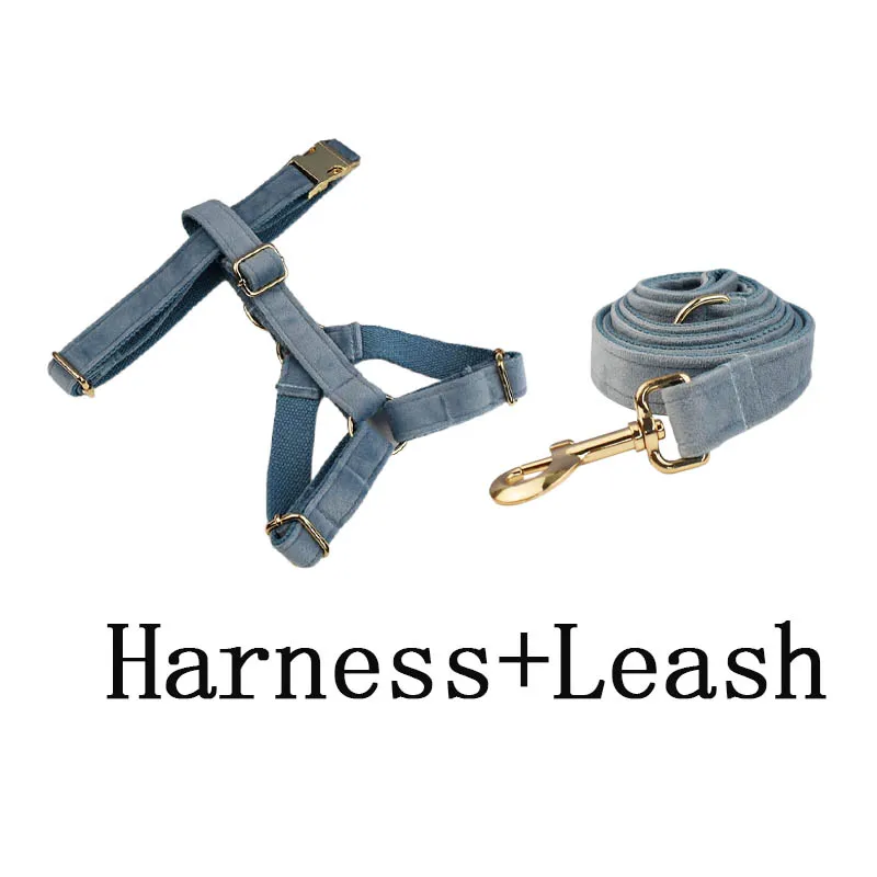 harness leash