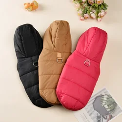Abrigo cálido con capucha perros Pug Dachshund – Chaqueta invierno
