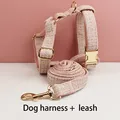 Harness leash
