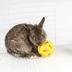 Bola de merienda de comedero lento para conejos y gatos, juguete dispensador de golosinas interactivo para hámsteres, conejillos de indias y mascotas pequeñas, juguete de alimentación para perros