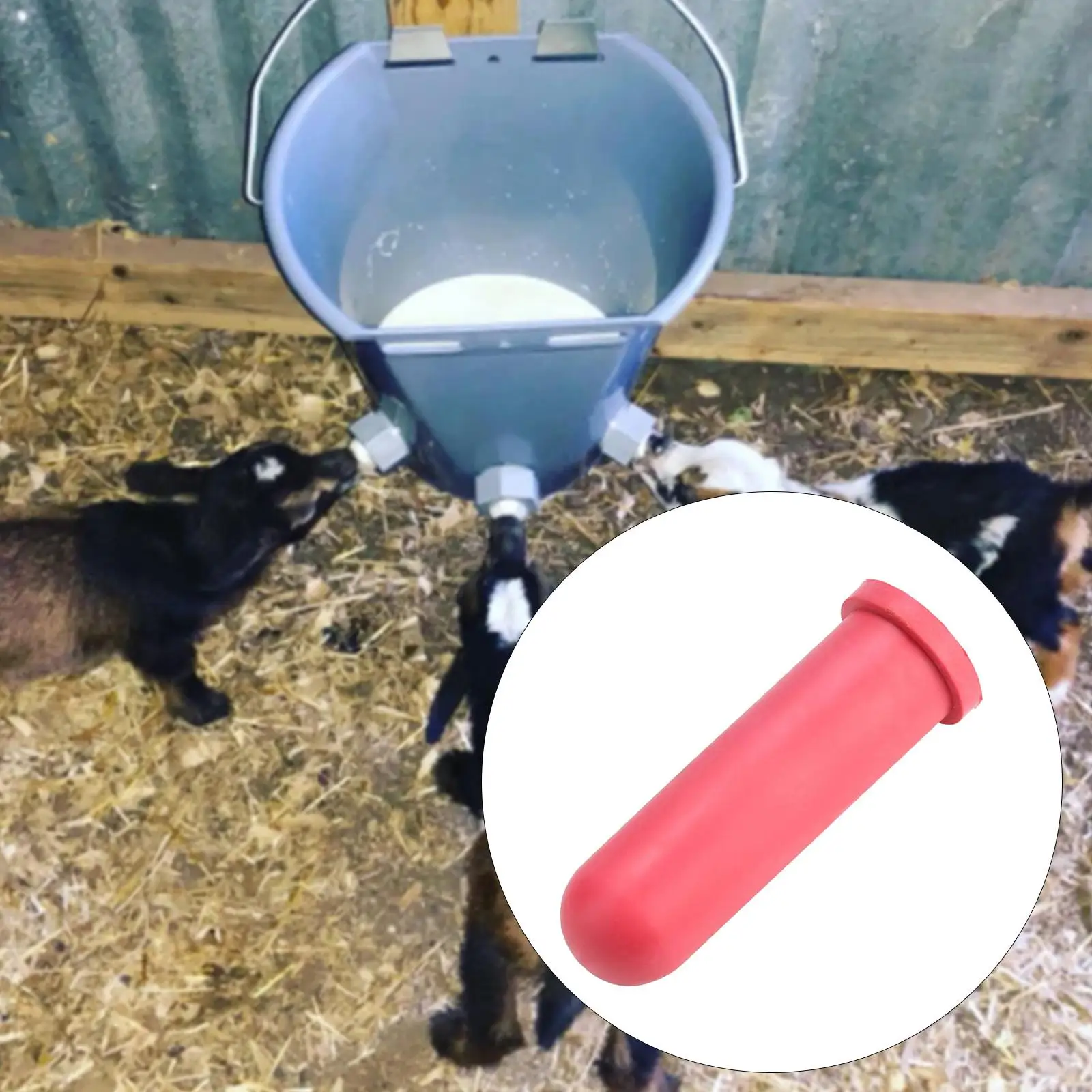 Chupete alimentador para pantorrillas, tetina para beber resistente a masticar para pantorrillas, burro y ganado - imagen 4