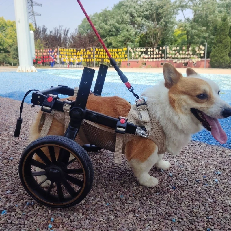 Silla de ruedas especial para perros mayores y Corgi con parálisis