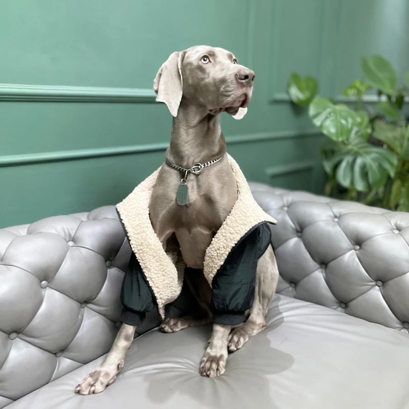 Ropa impermeable para perros grandes, chaqueta cálida de lujo para perros grandes con cremallera, ropa Labrador Golden Retriever Dobermann - imagen 4