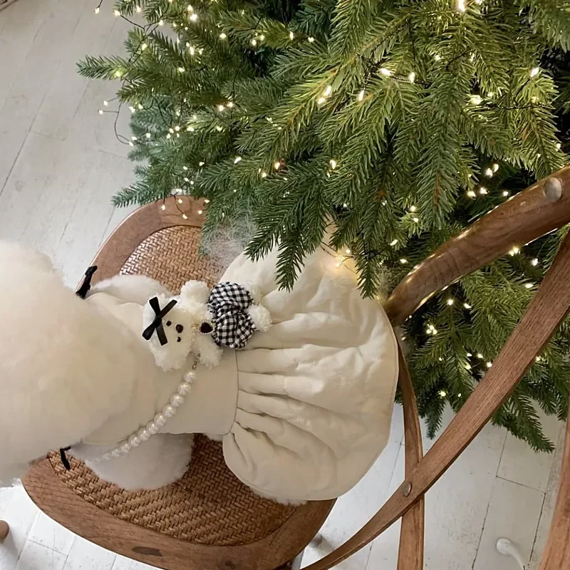 Sin bolsa, ropa de algodón para mascotas de princesa para perros, ropa de invierno de peluche, vestido cálido para cachorros de Pomerania, ropa gruesa de Yorkshire - imagen 3