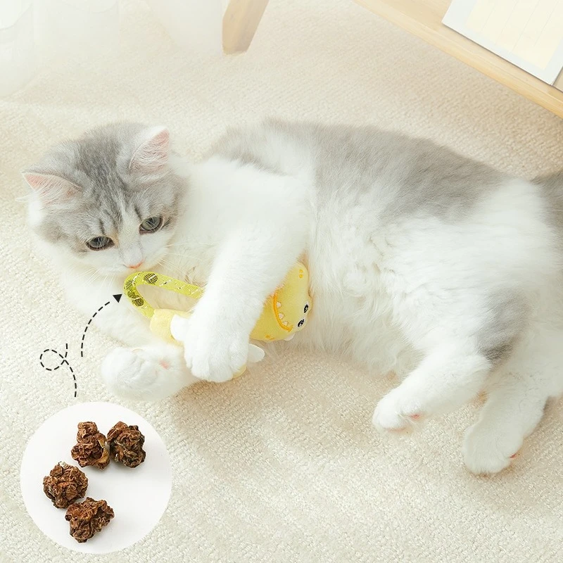 2 uds lindo dinosaurio de peluche juguete interactivo para gatos tubo de plástico suministros para mascotas accesorio - imagen 3