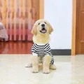 Black striped