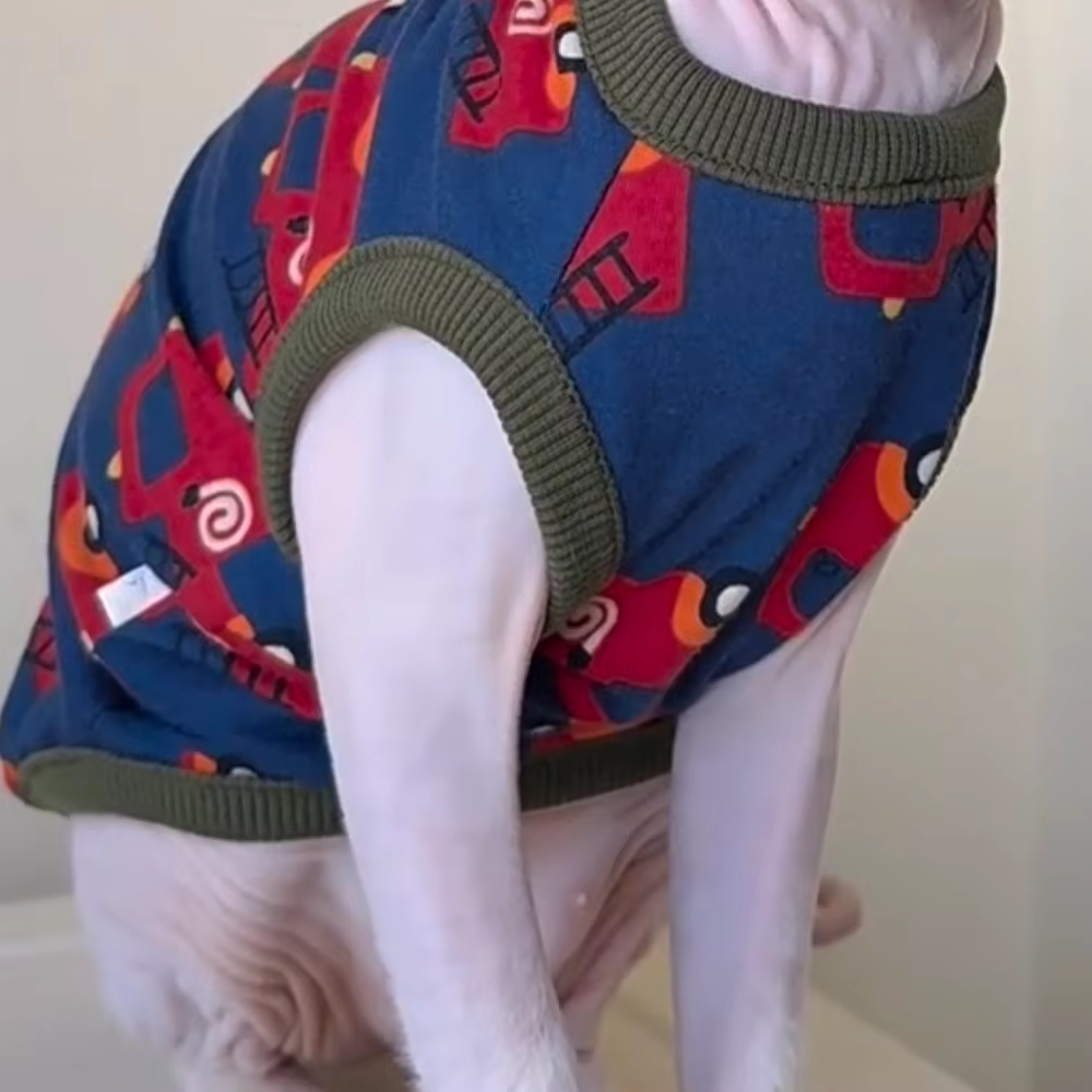 Medidas de la tabla de tallas para el abrigo de gatos