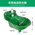 drinking bowl