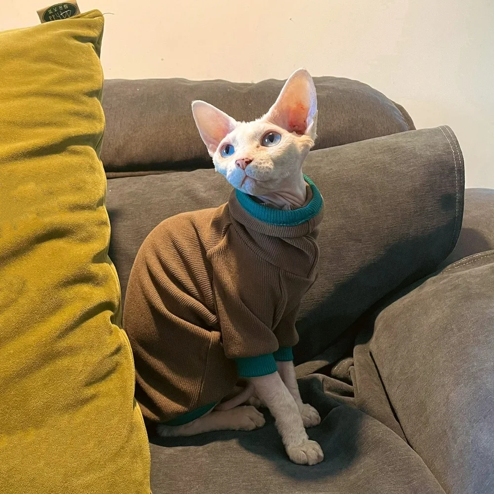 Sphynx Cat Camiseta de algodón para gatitos Perros pequeños Café Manga larga Abrigo de cuello alto para Devon Rex Mono de ocio en otoño - imagen 3