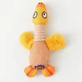 Yellow Goose