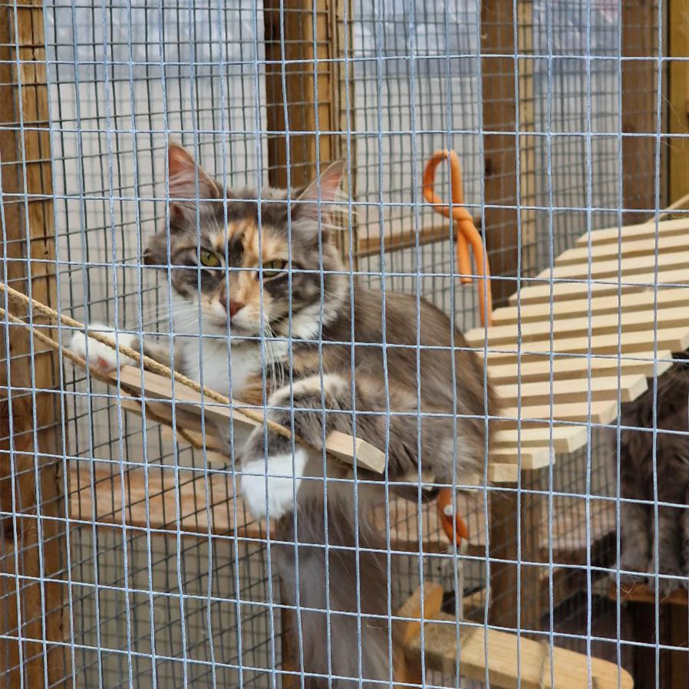 Puente de suspensión para gatos, jaula de cuerda de Sisal, escalera, muebles para mascotas, hamaca de Luna, torre de árbol, Pedal, actividad para dormir - imagen 4