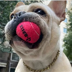 Pelota de goma con chirrido 4 uds – Juguete de entrenamiento para perros