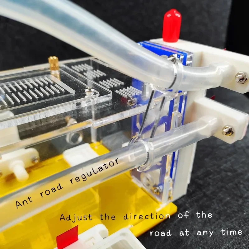 T diseño DIY granja de hormigas con área de alimentación nido de hormigas acrílicas casa de hormigas de insectos Villa antill taller de mascotas mania para casa hormiga - imagen 2