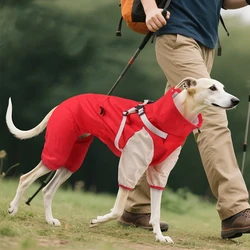 Chubasquero impermeable con arnés para perros pequeños y medianos