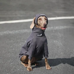 Jersey suave Labrador adulto: ropa de punto para perros grandes