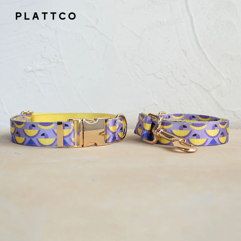 Dog Collar Leash Set