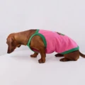 Pink Vest
